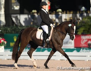 Hanna Benne on the American bred Belgian Riding Pony Helluva Dream Maker