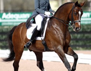 Anne Cizadlo on the Westfalian bred Obsession II 