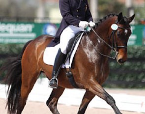 Puerto Rico's Luis Reteguiz-Denizard on Royal Affair (by Royal Diamond)
