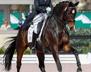 Shannon Dueck and Cantaris ace the Inter I Kur at the 2014 CDI-W Wellington :: Photo © Sue Stickle