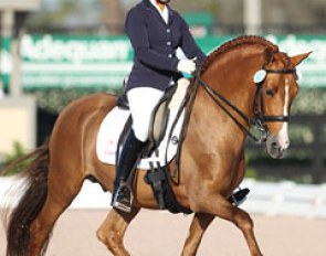 Kerrigan Gluch on Kimberly van Kampen's PRE Lentisco XVIII