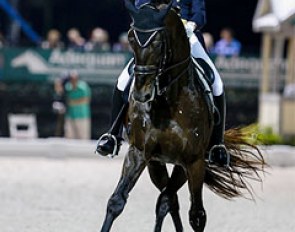 Tina Konyot and Calecto V at the 2014 CDI 5* in Wellington :: Photo © Sue Stickle