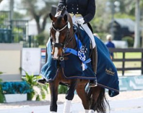 Megan Lane and Caravella win the Special at the 2014 CDI-W Wellington :: Photo © Sue Stickle
