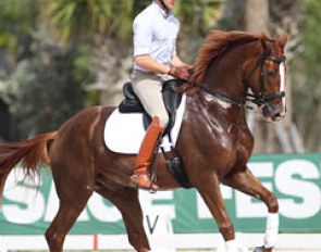 Number one ranked U.S. Developing Grand Prix horse Donatus (by Don Schufro x Caramel) :: Photo © Astrid Appels
