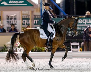 Lars Petersen and Mariett win the world cup qualifier at the 2014 CDI-W Wellington :: Photo © Astrid Appels