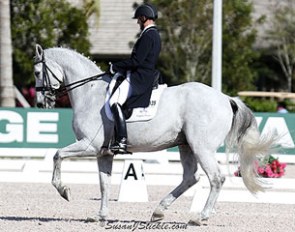 Lars Petersen and Willano (by Willemoes x Aleksander) at the 2014 CDN Wellington :: Photo © Sue Stickle