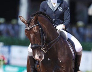 Italian flag on the helmet for nations cup events 