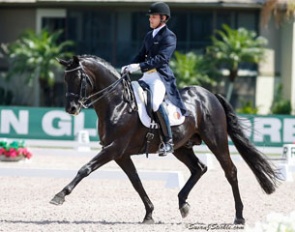 Rick Rockefeller-Silvia on Dream Street Stallions' Rubinero at the 2014 CDN Wellington :: Photo © Sue Stickle
