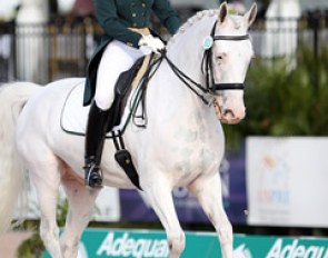 Alix Szepesi on the Danish knabstrupper Majco Thunder's Hattrick