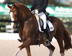 Riding for Georgia, British born Joanne Vaughan on a spooky but fresh and more energetic Prego