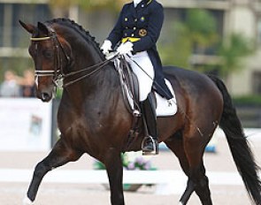 Tinne Vilhelmson and Benetton Dream in the Intermediaire B at the 2014 CDN Wellington :: Photo © Astrid Appels