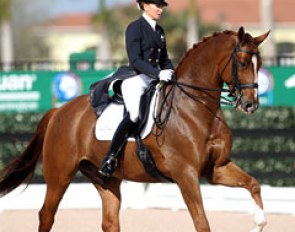 Lisa Wilcox and Galant top the Intermediaire I at the 2014 CDIO Wellington :: Photo © Astrid Appels