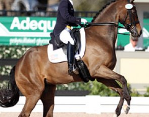 Ashley Wimmer on Somerhall (by Sir Donnerhall I)