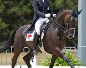 David Shoobridge and Agent de Jeu at the 2014 CDN Werribee :: Photo © Derek 'O Leary