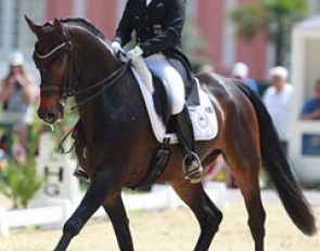 Uta Gräf and Lawrence at the 2014 CDI Wiesbaden :: Photo © Astrid Appels