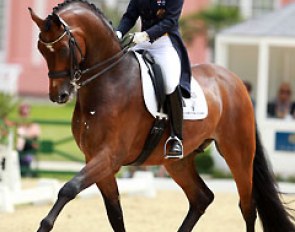 Kristy Oatley and Ronan at the 2014 CDI Wiesbaden :: Photo © Astrid Appels