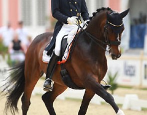 Thomas Wagner and Very Keen at the 2014 CDI Wiesbaden :: Photo © Astrid Appels