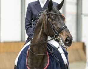 Svetlana Kiseliova and Parish dominate the big tour at the 2014 CDI Zakrow :: Photo © Lukasz Kowalski