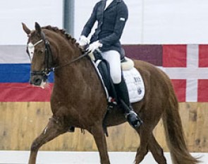 Sam Oudhof on Bodethal's Kosima