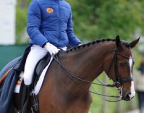 Patrick van der Meer on Uzzo