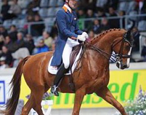 Diederik van Silfhout on Vorst D