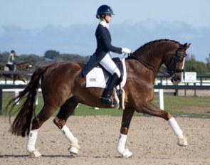 Tayla Desmet and Rodrigo III won the young riders classes at the 2015 CDI-W Boneo