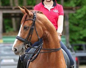 Nicola Ahorner and her new junior rider's horse Diamantenbörse
