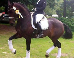 Sabine Oberdieck and Fortuna at the 2015 CDN Bad Segeberg