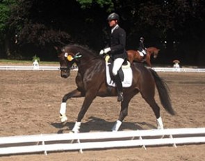 David Taylor and Biscaya OLD at the 2015 Bremen Bundeschampionate qualifier