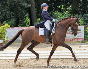 Alice Campanella and Varisto at the 2015 CDI-W Brno in the Czech Republic :: Photo © Ivana Marsalkova