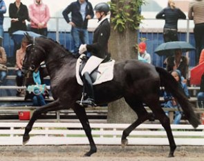 Katalin Garrn and Didi de la Cour at the 2015 Bundeschampionate