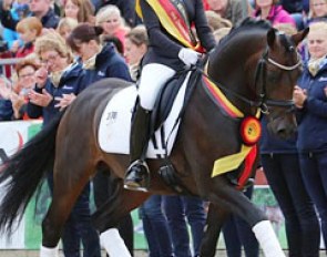 Zoe Gilbers and D-Day AT win the 5-year old Dressage Pony Finals at the 2015 Bundeschampionate :: Photo © LL-foto