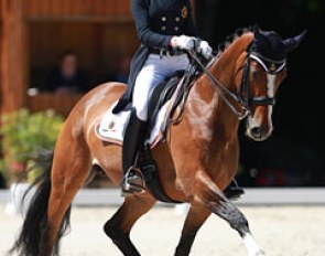 Antonia Arl and Equestricons Ziggy at the 2015 CDI Compiegne :: Photo © Astrid Appels