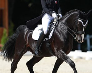 Stephanie Hartmann and Darek CH at the 2015 CDI Compiegne :: Photo © Astrid Appels