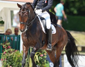 Ludovic Henry on Westwind