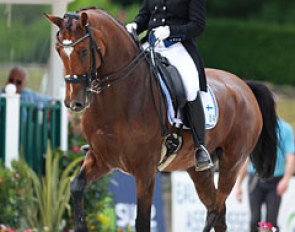Finnish Niina Nilosaari on Kom Ragdoll