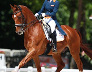 Dutch Marjan van der Jagt on Radetzky (by Houston x Vosmaer)