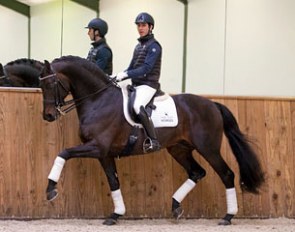 Lord Leatherdale (by Lord Loxley x Ferragamo)