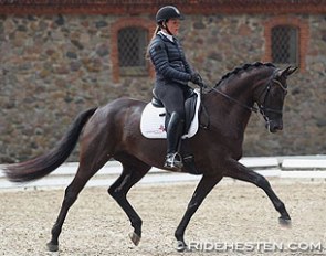 Katrine Kraglund and First Ballerina Macohl at the 2015 Danish WCYH selection trial in Vilhelmsborg :: Photo © Ridehesten