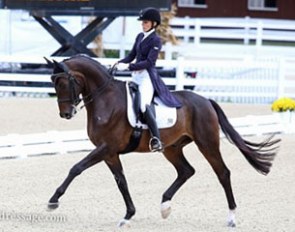Christina Vinios and Folkestone at the 2015 CDI-W Devon :: Photo © M.A. Brakenridge