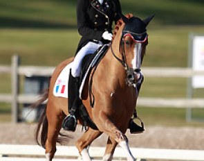 French Lea Bonifay on Tim