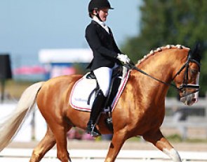Sara Aagaard Hyrm on Der Harlekin B