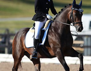 Olivia Vliek on Diendonne