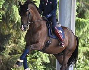 Charlotte Dujardin schooling Valegro