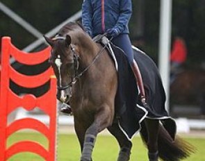 On Sunday morning before the Kur to Music at the 2015 European Championships, Charlotte Dujardin did some cavaletti work with Valegro :: Photo © Barbara Schnell