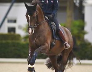 Charlotte Dujardin and Valegro are ready to defend their European Champions' title in Aachen this week :: Photo © Barbara Schnell