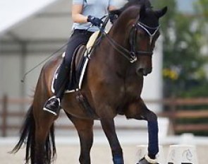 Emma Kanerva on Solina