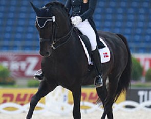 Louise Lokken on Mr Gold G