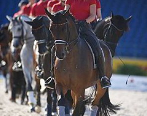 The German Under 25 riders practicing their quadrille which they performed on Sunday during the freestyle finals