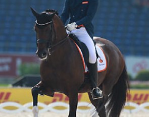 Diederik van Silfhout and Arlando at the 2015 European Dressage Championships :: Photo © Astrid Appels